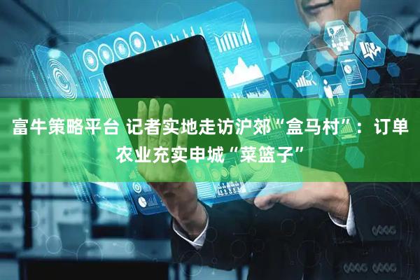 富牛策略平台 记者实地走访沪郊“盒马村”：订单农业充实申城“菜篮子”